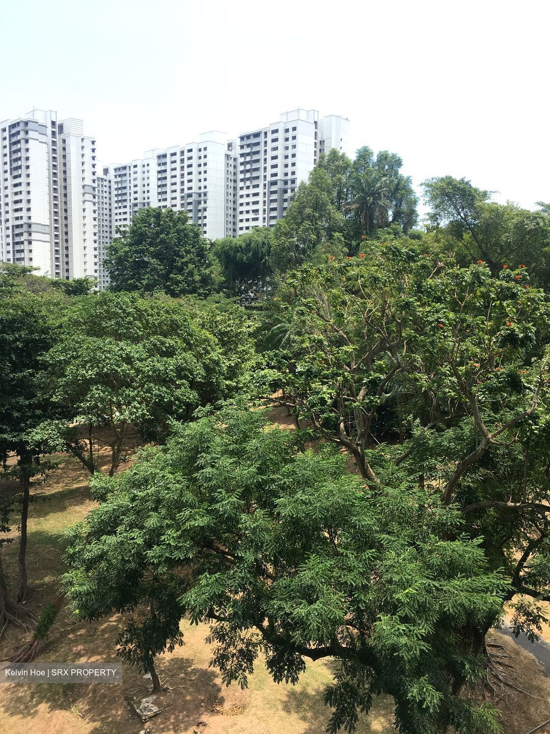 Spottiswoode 18 (D2), Apartment #308164821